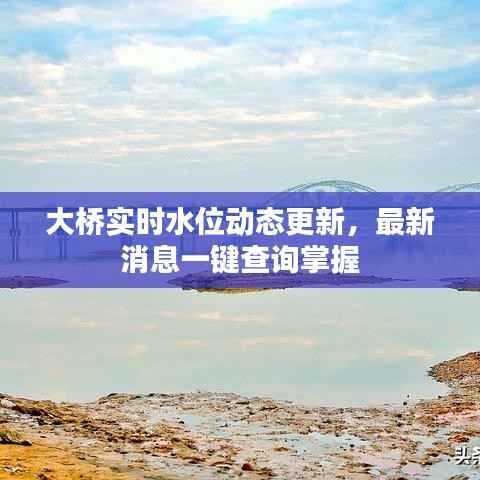 大桥实时水位动态更新,最新消息一键查询掌握
