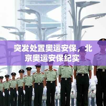 突发处置奥运安保,北京奥运安保纪实