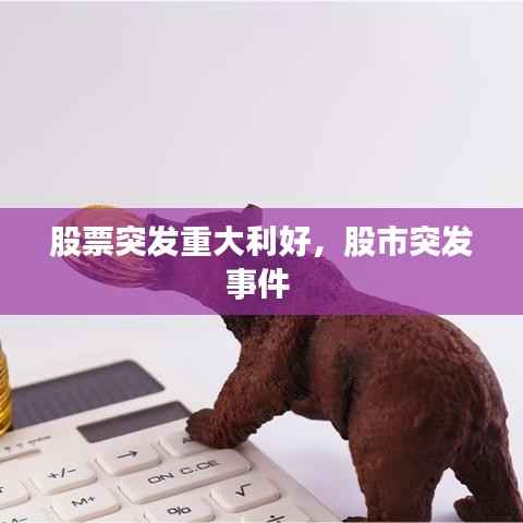 股票突发重大利好,股市突发事件