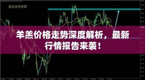 羊羔价格走势深度解析,最新行情报告来袭!