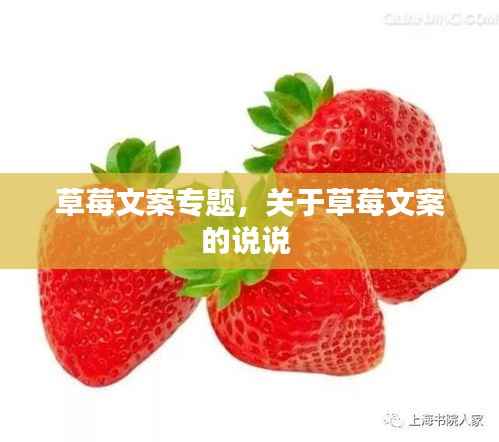 草莓文案专题,关于草莓文案的说说