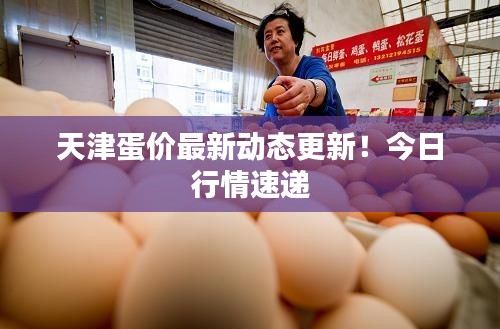 天津蛋价最新动态更新!今日行情速递