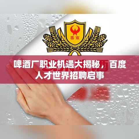 啤酒厂职业机遇大揭秘,百度人才世界招聘启事