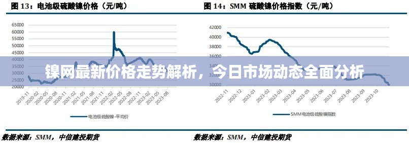 镍网最新价格走势解析,今日市场动态全面分析