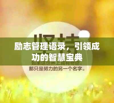 励志管理语录,引领成功的智慧宝典