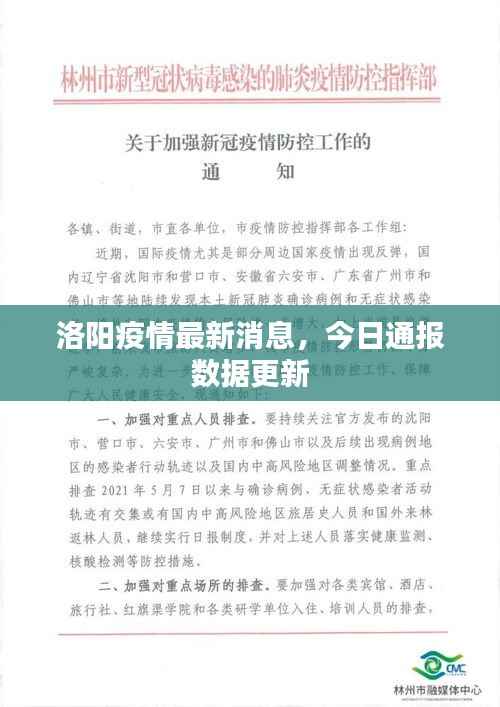 瑞雪飞舞 第2页