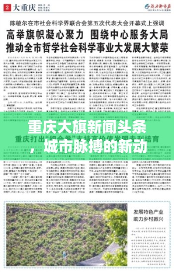重庆大旗新闻头条,城市脉搏的新动态