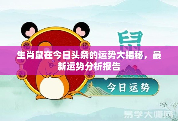 生肖鼠在今日头条的运势大揭秘,最新运势分析报告