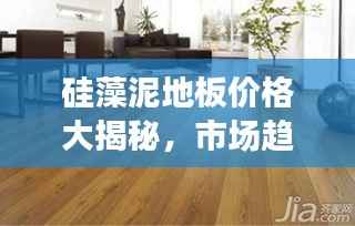 硅藻泥地板价格大揭秘,市场趋势与选购指南全解析