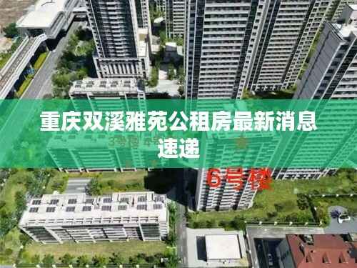 重庆双溪雅苑公租房最新消息速递