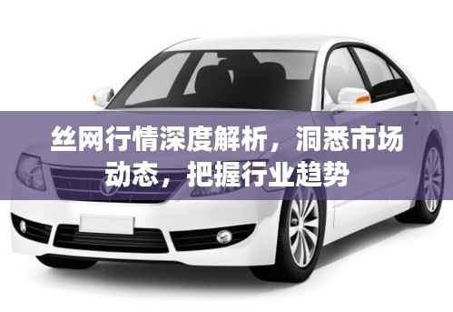 丝网行情深度解析,洞悉市场动态,把握行业趋势