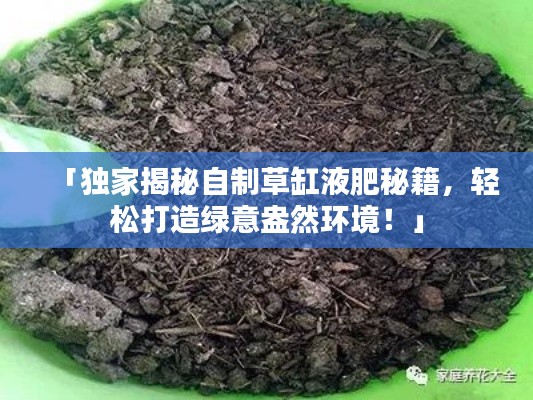 「独家揭秘自制草缸液肥秘籍,轻松打造绿意盎然环境!」
